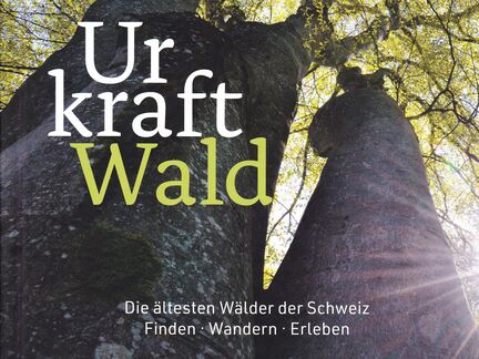 Urkraft Wald – die ältesten Wälder der Schweiz Finden, Wandern, Erleben