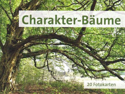 Charakter-Bäume (Postkartenbuch)