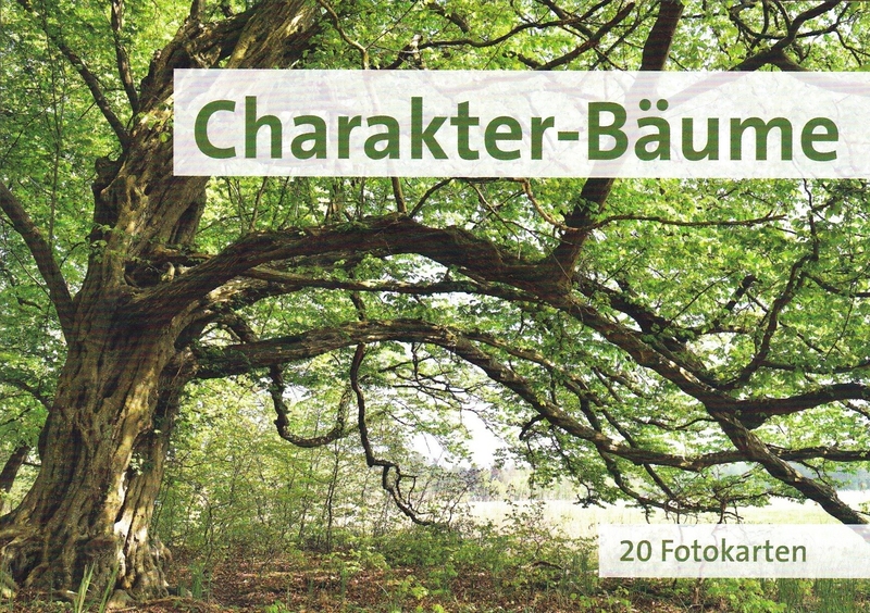 Charakter-Bäume (Postkartenbuch)