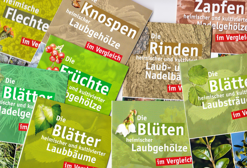 Bestimmungskarten-Set heimische und kultivierte Laub- und Nadelgehölze im Vergleich