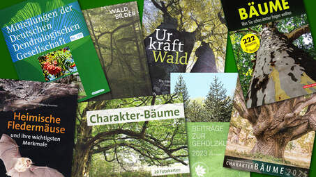 Publikationen / Bücher